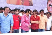 Balakrishna and Boyapati New Film Launch